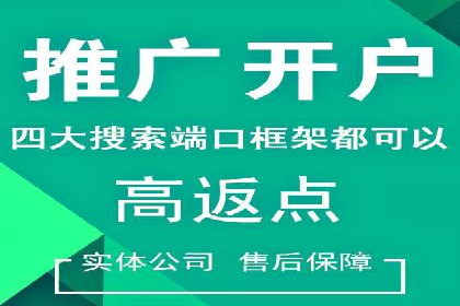 某知名品牌SEM运营策略及效果评估
